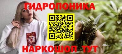 альфа пвп Кандалакша