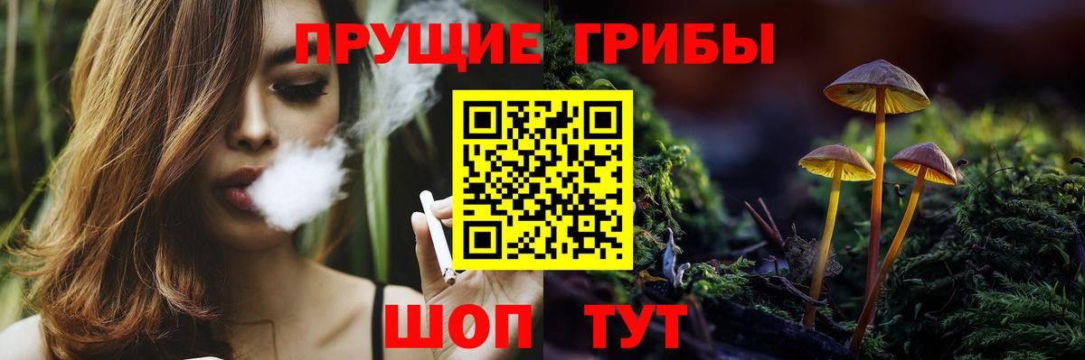 Галлюциногенные грибы Psilocybine cubensis  Вход с VPN  Кузнецк 